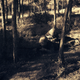 Chapelle in camouflage, photographing US Marines at work, Lebanon, 1958